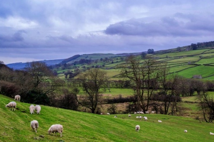 Carve A Trail Through The Yorkshire Dales