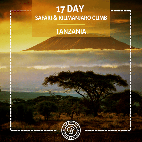 Kilimanjaro climb, Safari & Zanzibar