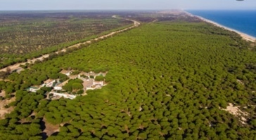 Donana National Park - Spain