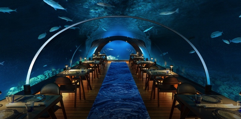 Eat in an Underwater Restaurant