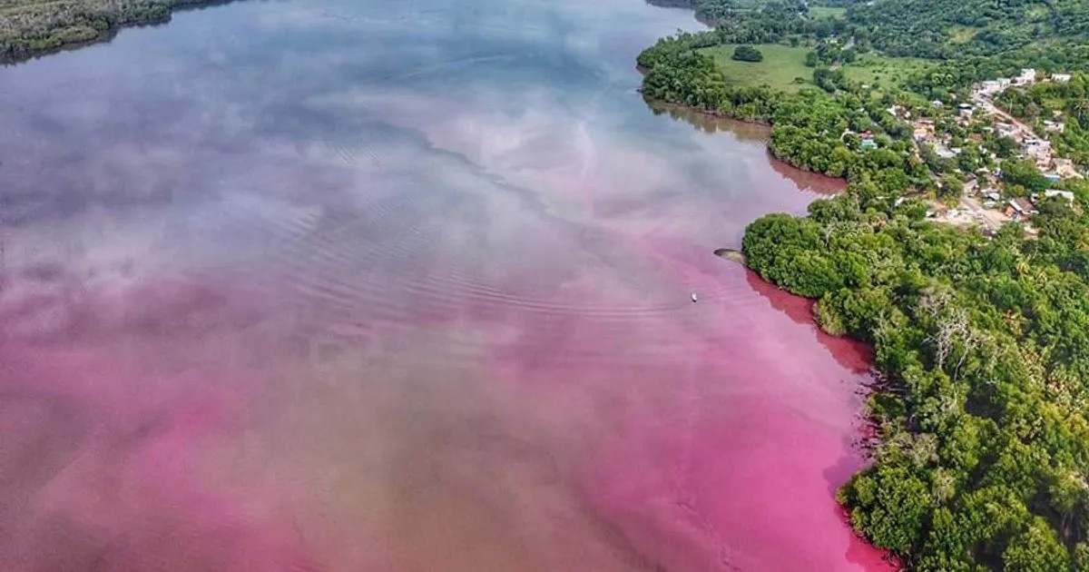 Manialtepec Lagoon, Mexico