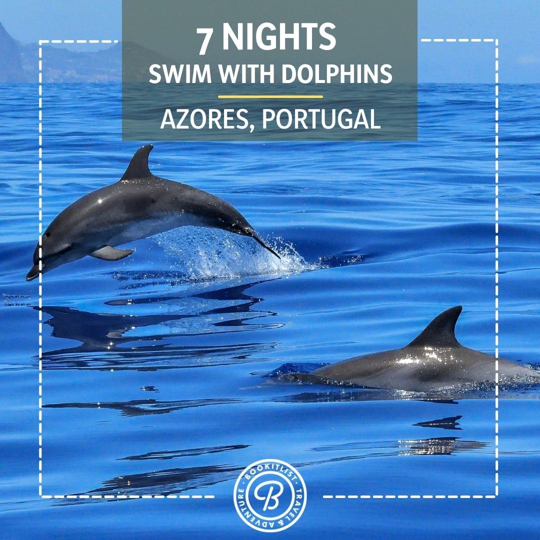 7 Nights Swimming With Dolphins In Azores