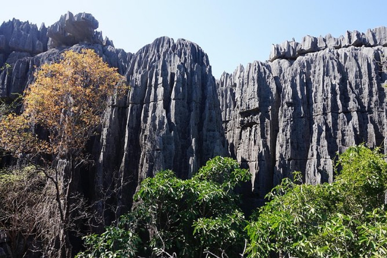 Tsingy de Bemaraha Reserve