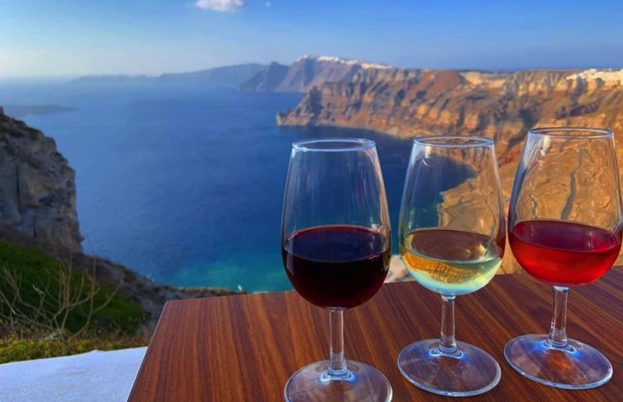Small Group Wine Tasting & Vineyard Tour