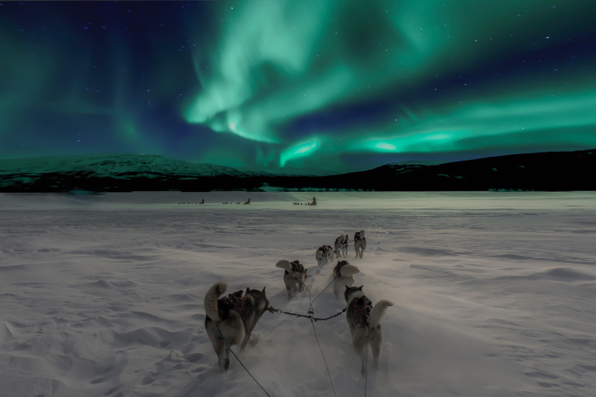 See the Northern Lights See the Northern Lights
