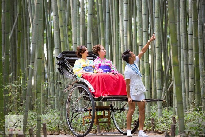 Walk Through The Bamboo Forest