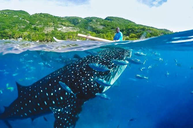 Cebu Island