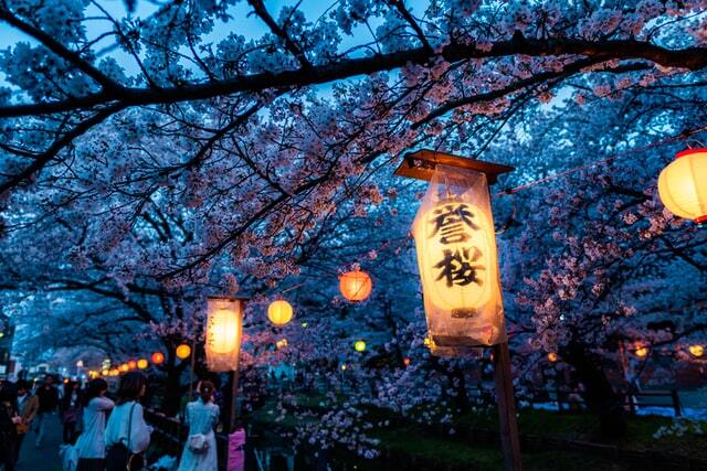 Visit During Cherry Blossom Season