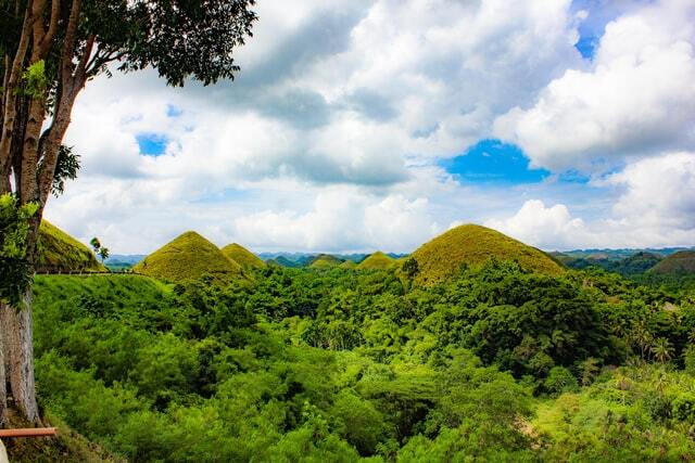 Visit the Chocolate hills in Bohol province