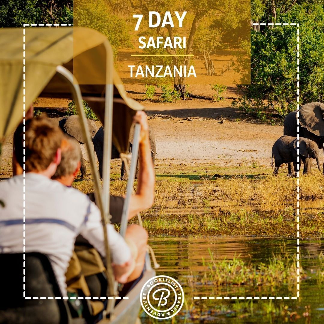 7 day Tanzanian Safari adventure