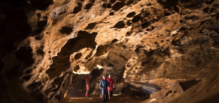 Go Cave Walking