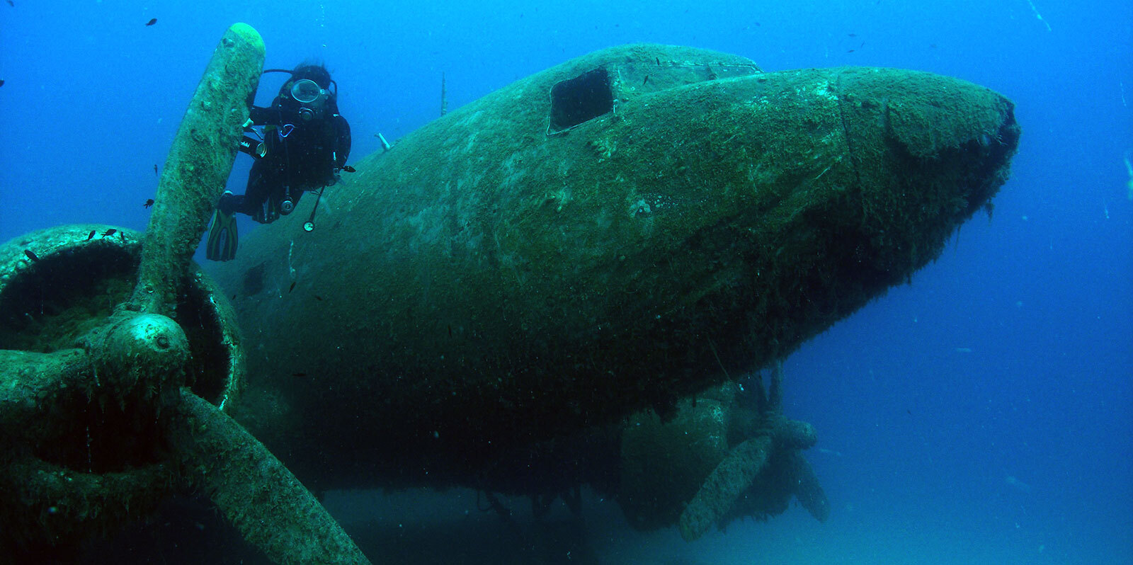 Go Diving