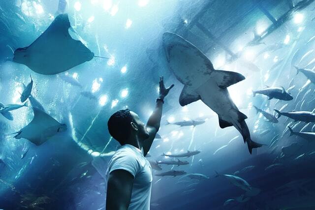 Check Out Dubai Aquarium