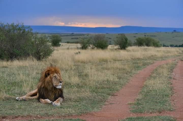 7 day Tanzanian Safari adventure photo 1