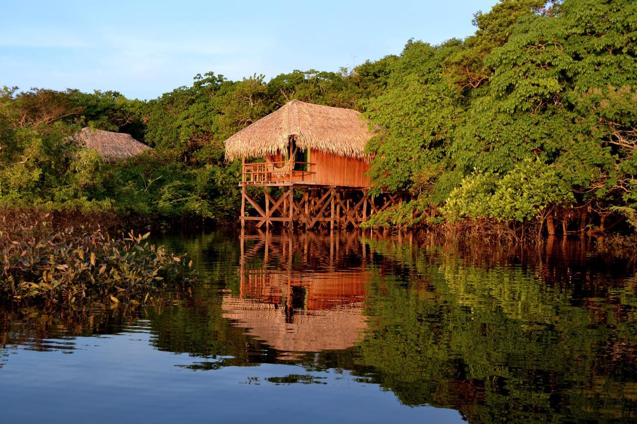 Amazon Rainforest 4 Day Expedition