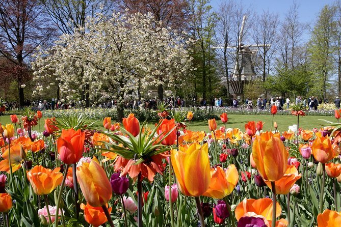 Visit ‘The Garden of Europe’