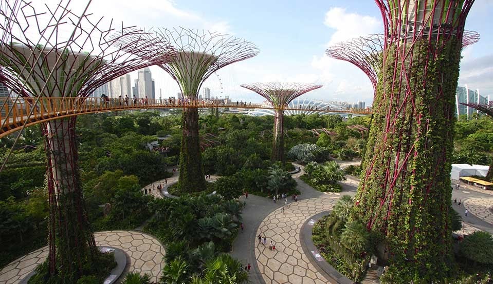 Gardens by the bay Singapore