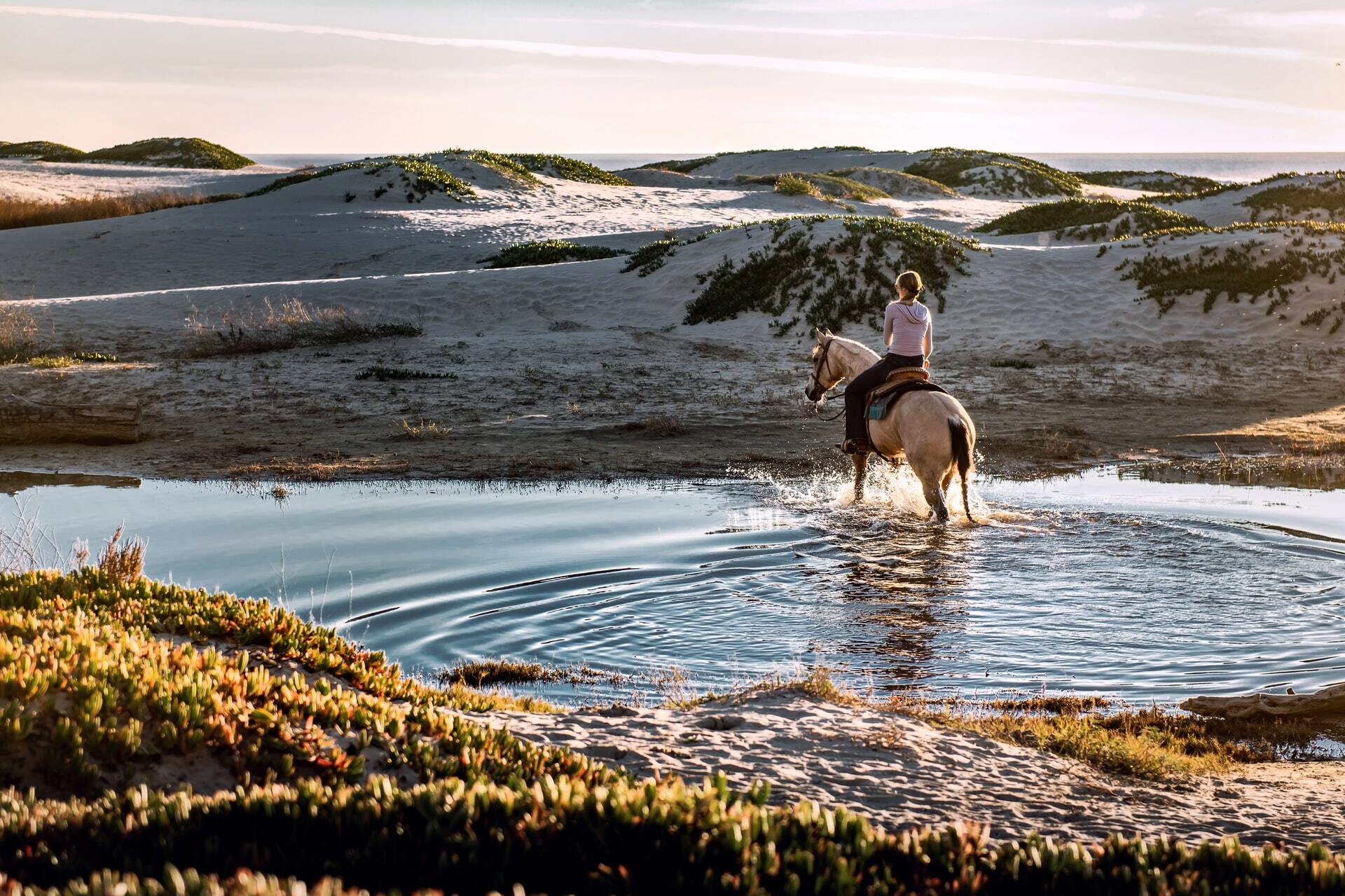 Go Horseback Riding
