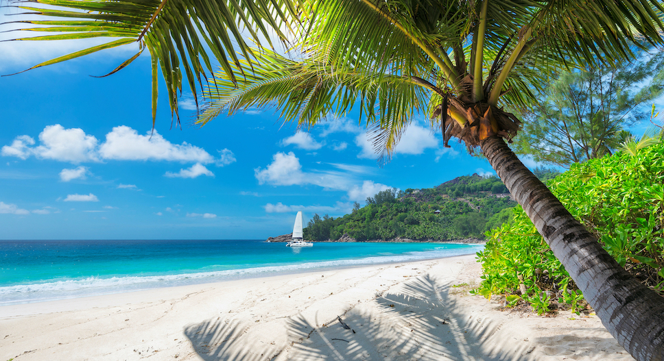 Go To Jamaica