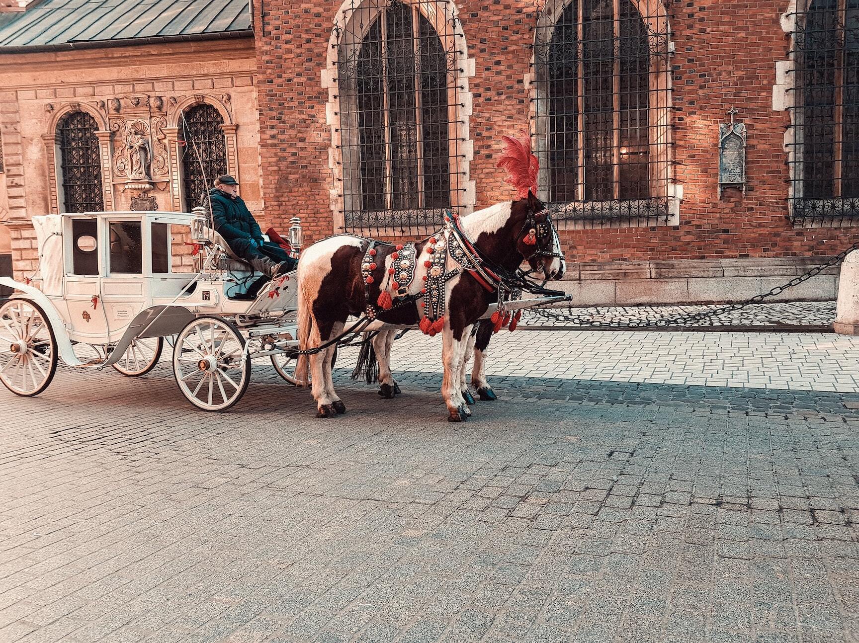 Go To Krakow Go To Krakow