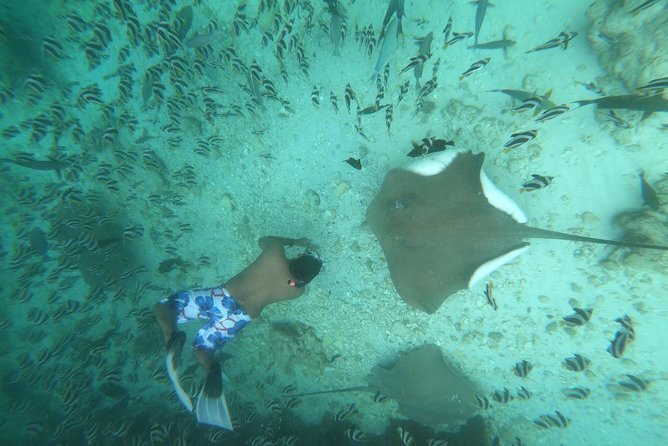 Full Day Island Hopping Tour