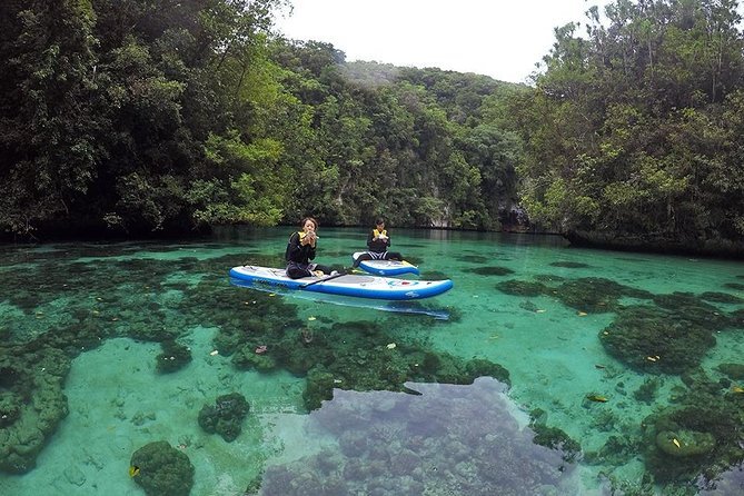 Go Kayaking