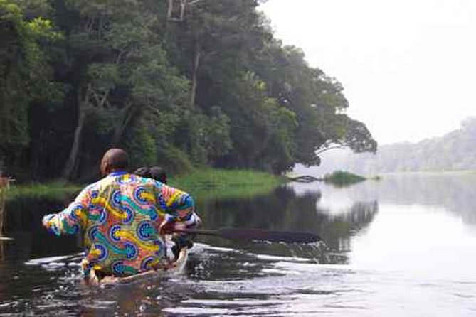 Explore the Nyong River by canoe
