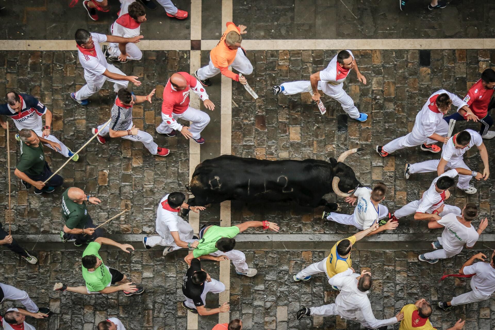 Run With The Bulls At San Fermin Festival