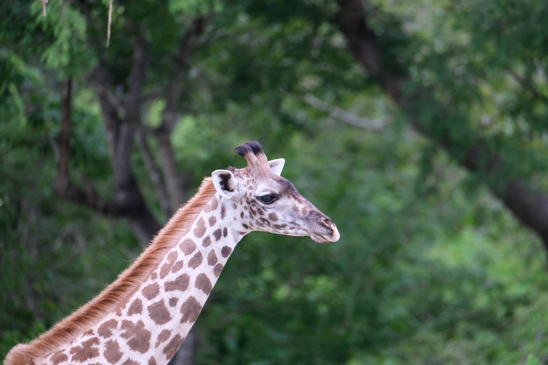 Southern Tanzania