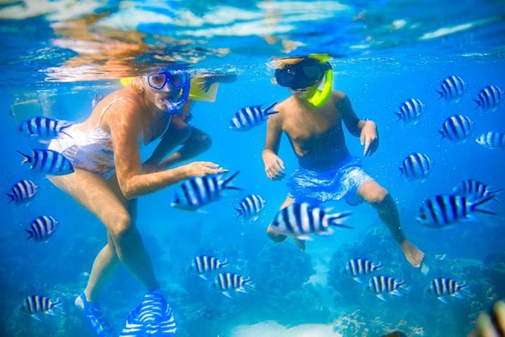 Go diving or snorkeling