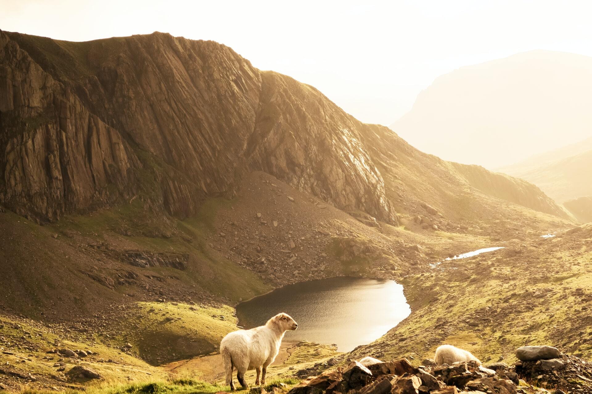 Snowdonia National Park, Gwynedd, United Kingdom