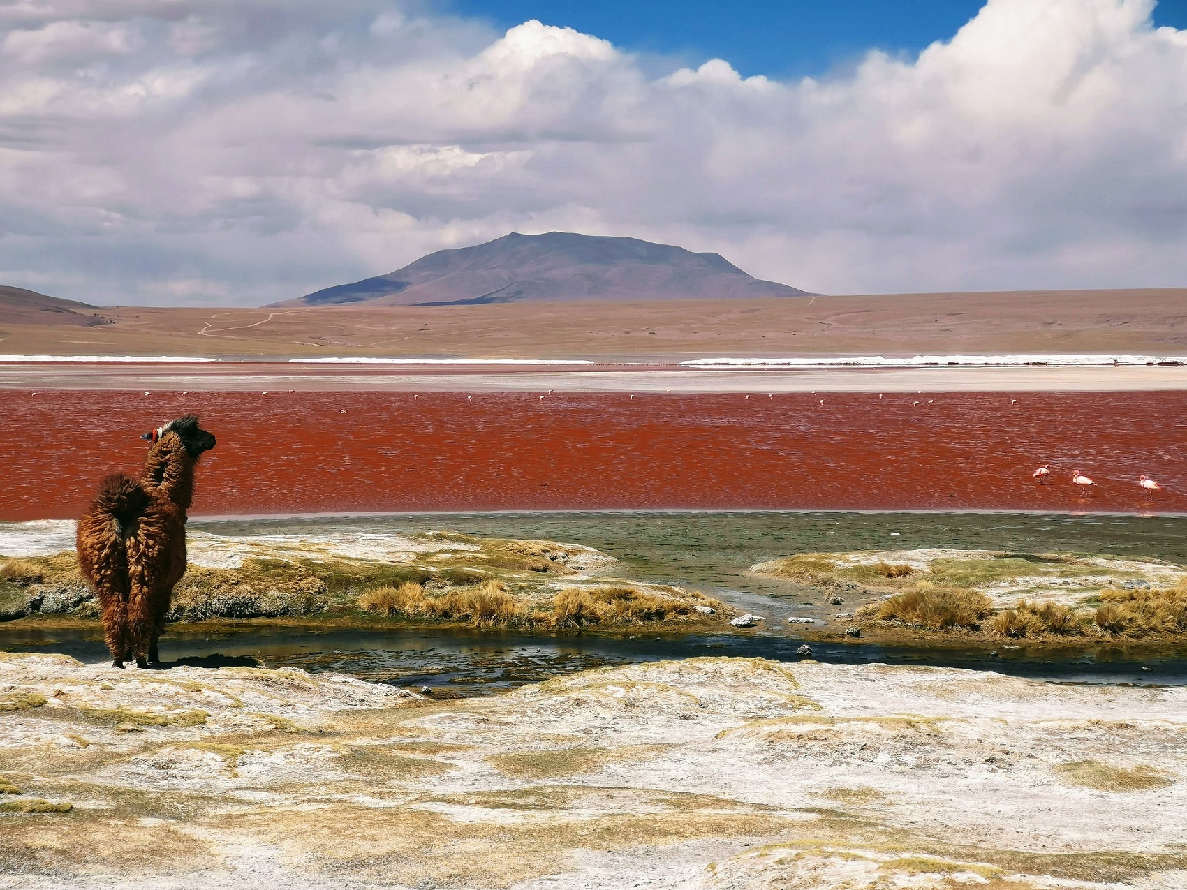 More Things To Do In Bolivia