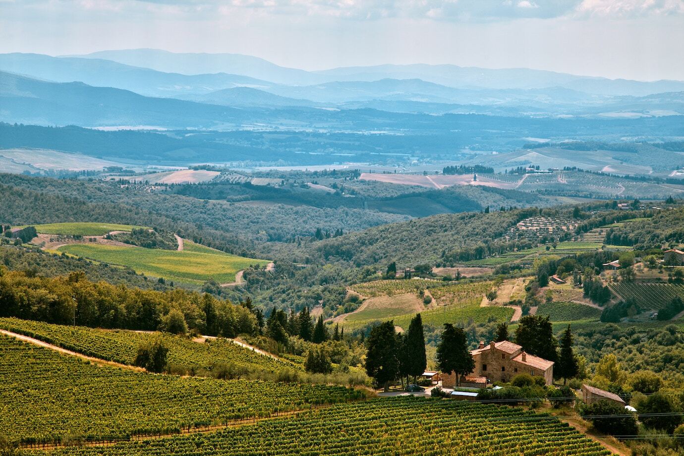 Wine Tasting In Tuscany