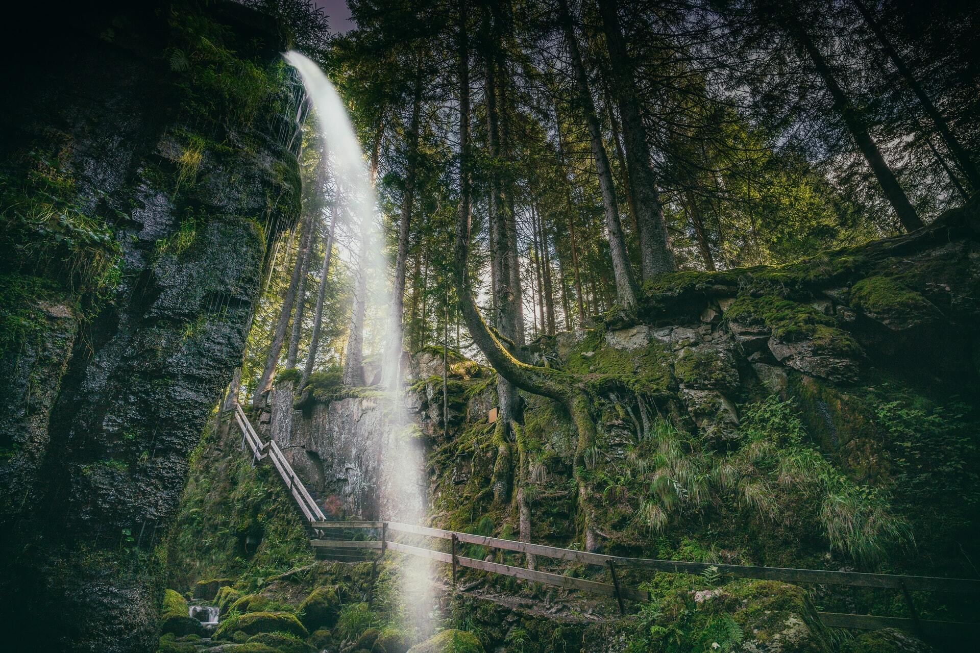 Visit The Black Forest