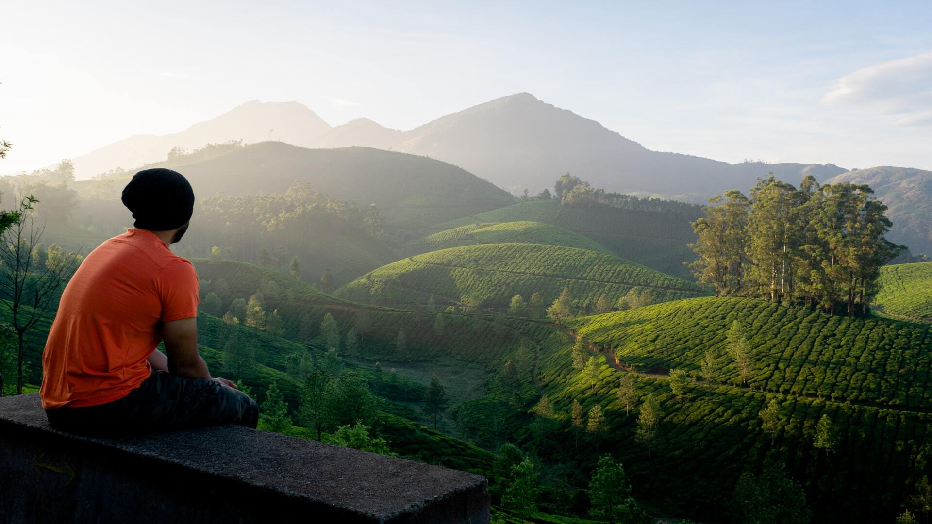 Visit A Coffee Plantation