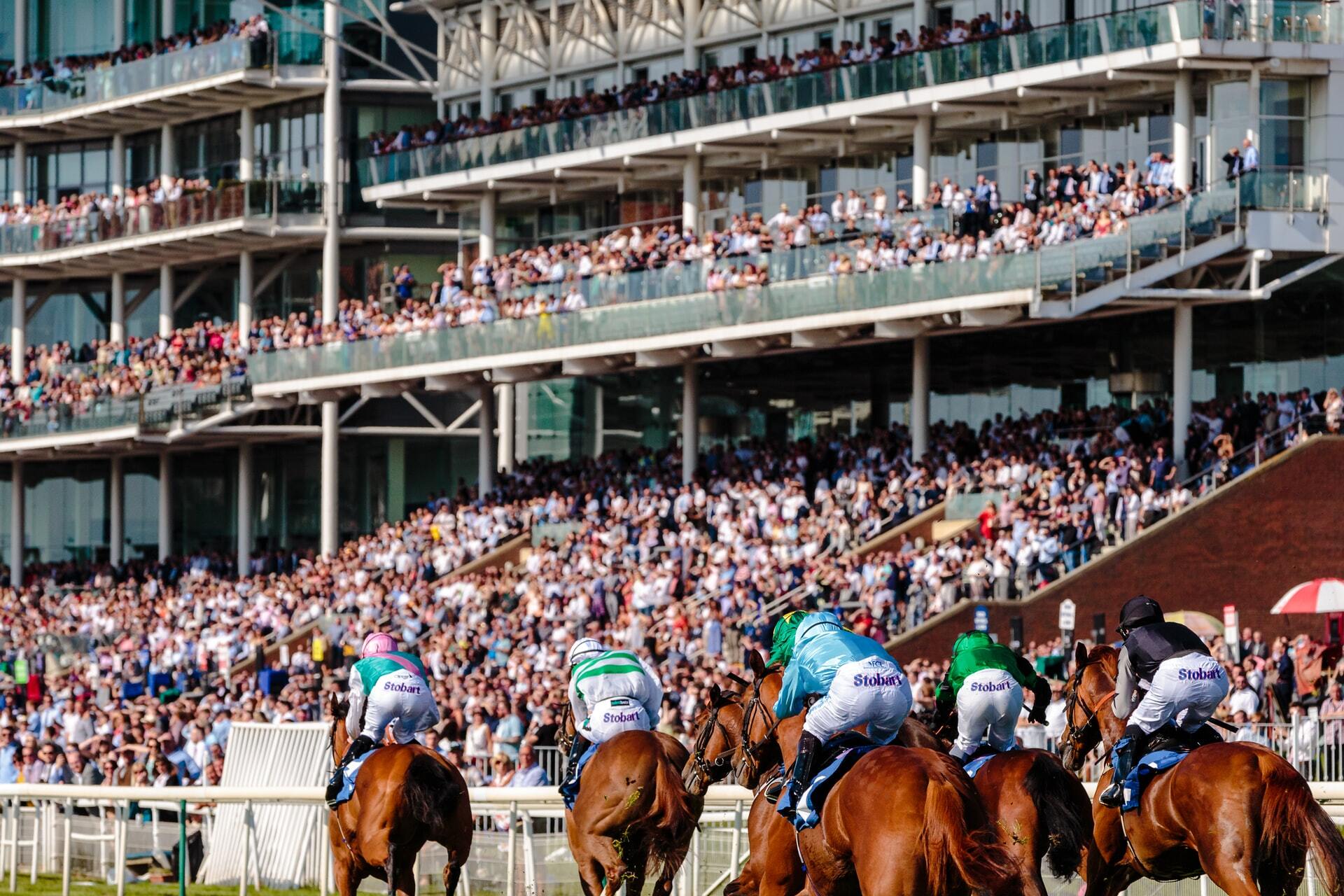 Watch Horse Racing