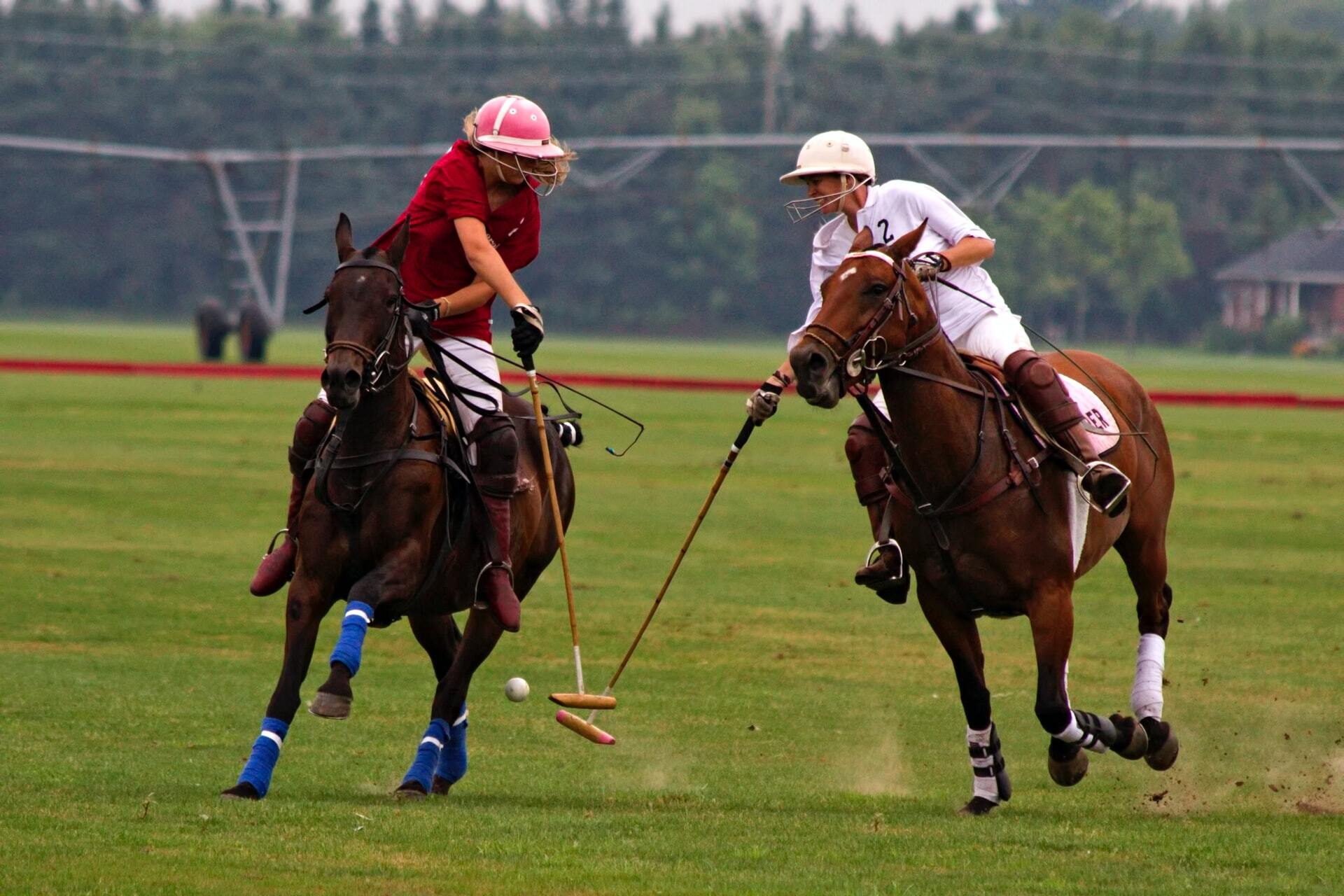Watch Polo