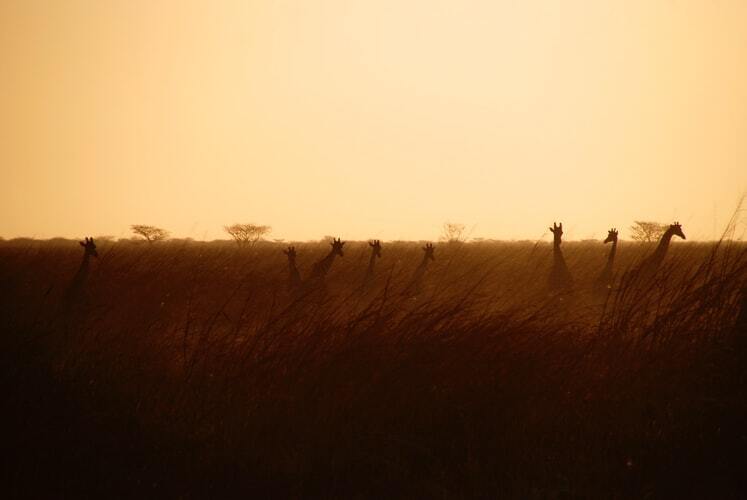Waza National Park