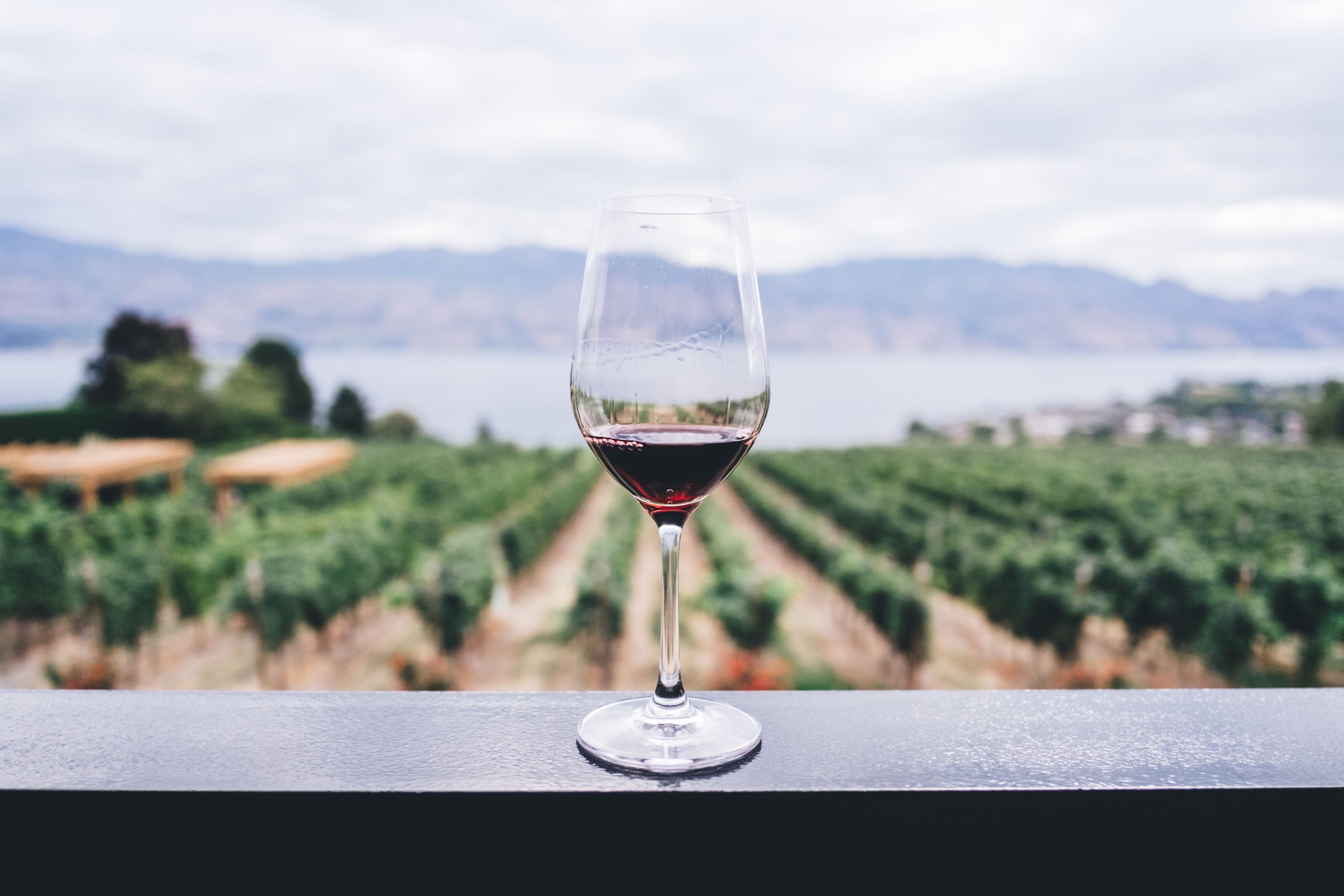 Wine Tasting At A Vineyard
