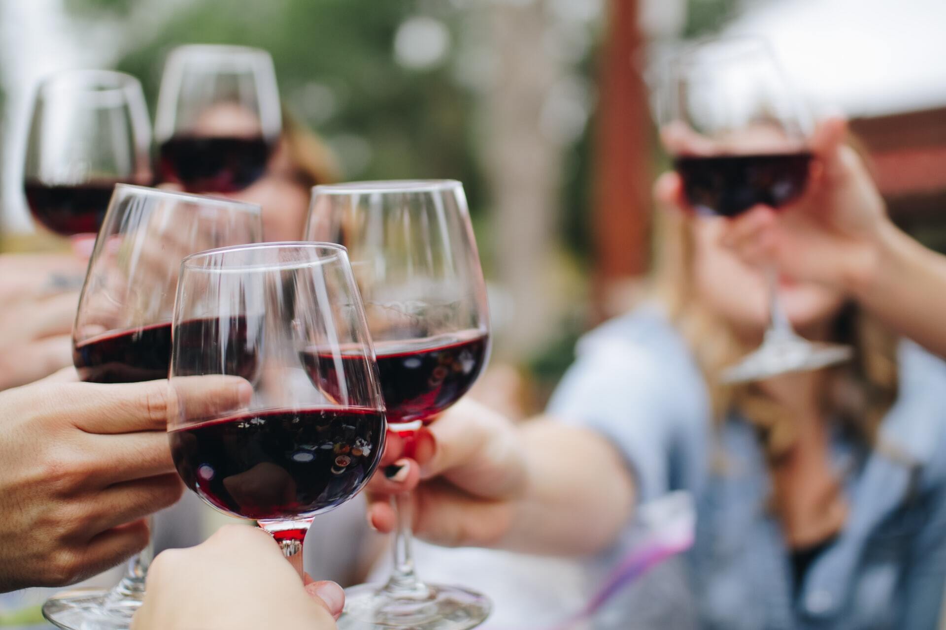 Private Day Trip: Wine Tasting Tour Including Picnic Lunch