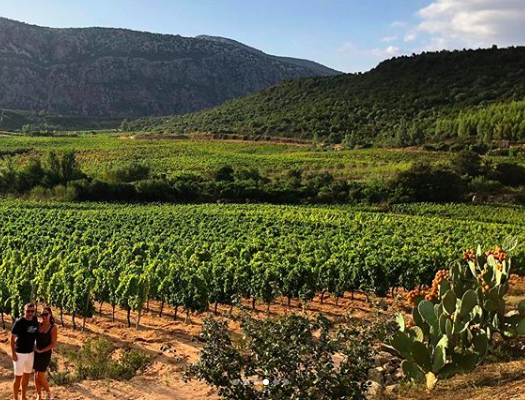 Wine Tasting At A Vineyard