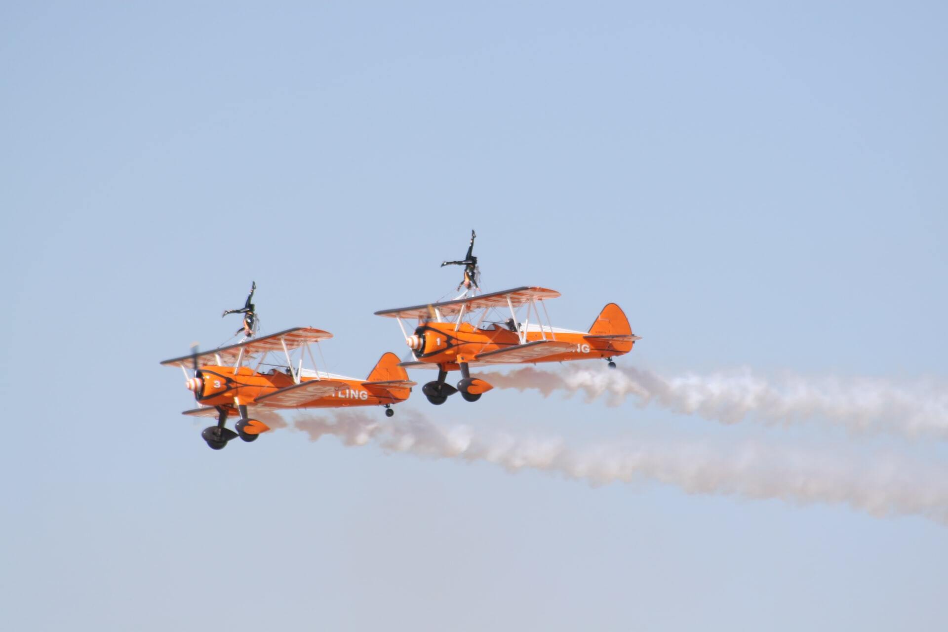 Wing Walk