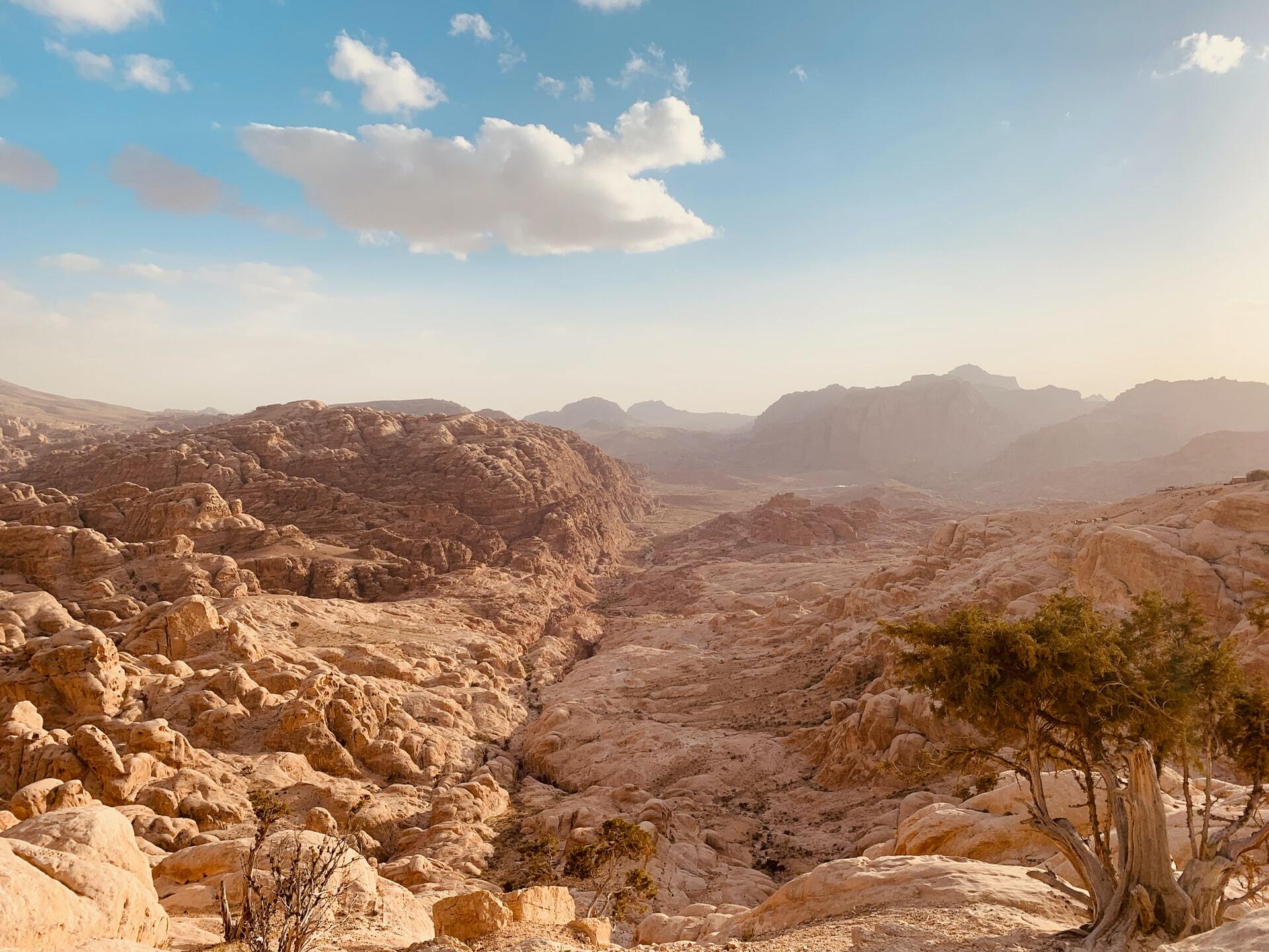 Dana to Petra Trek photo 1