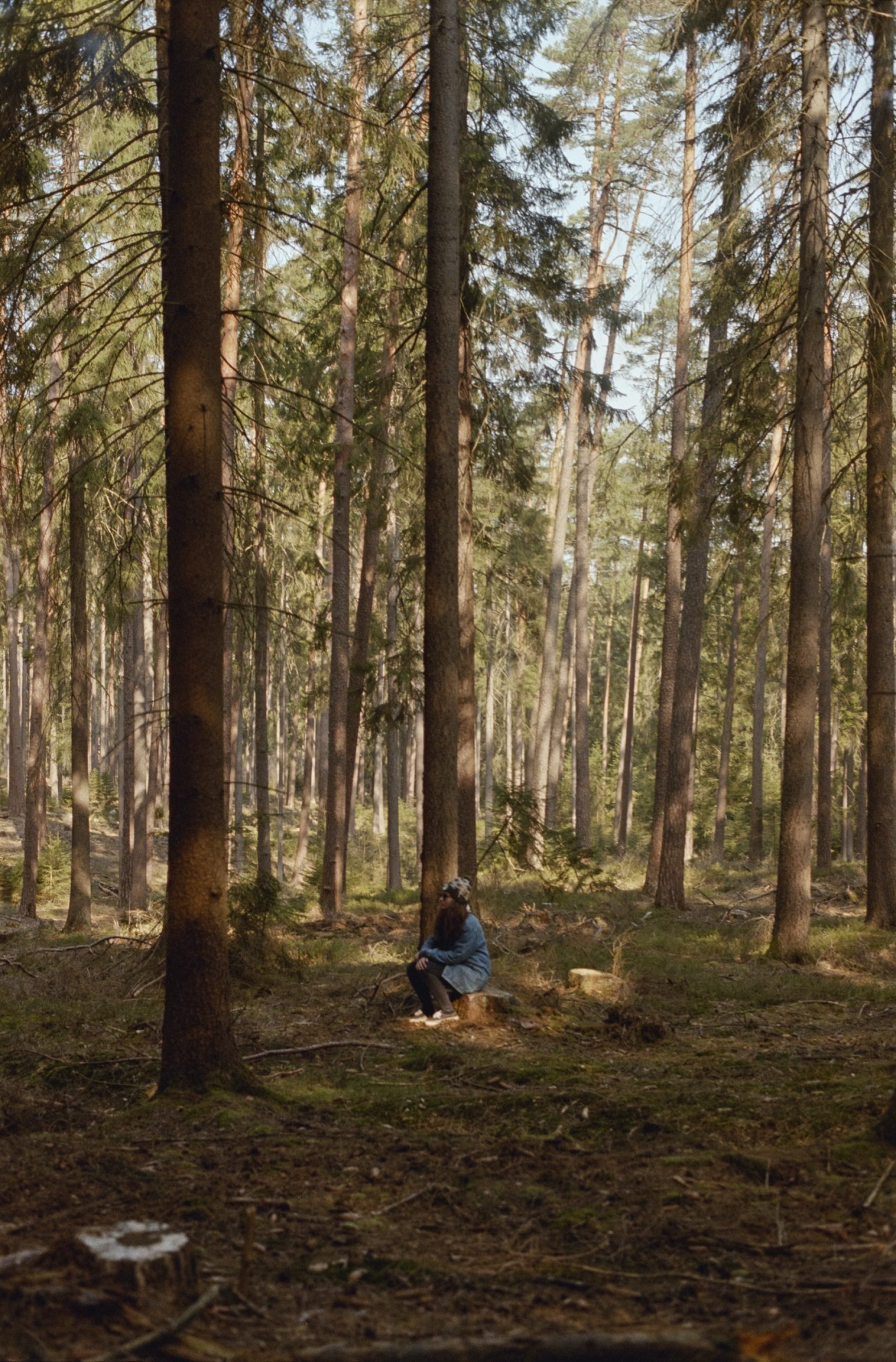 5 day Basic to Advanced Woodland Survival