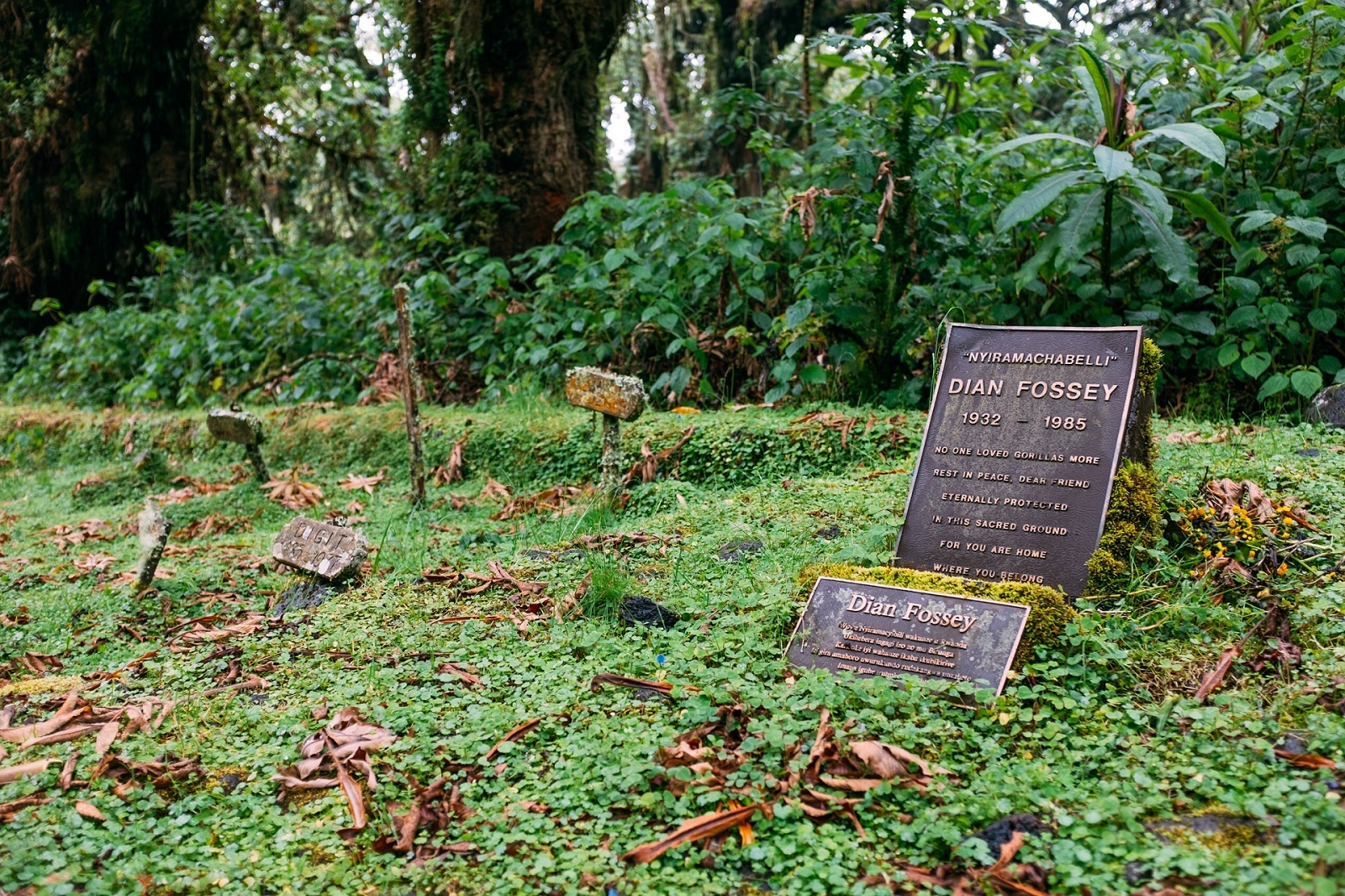 Virunga Mountains