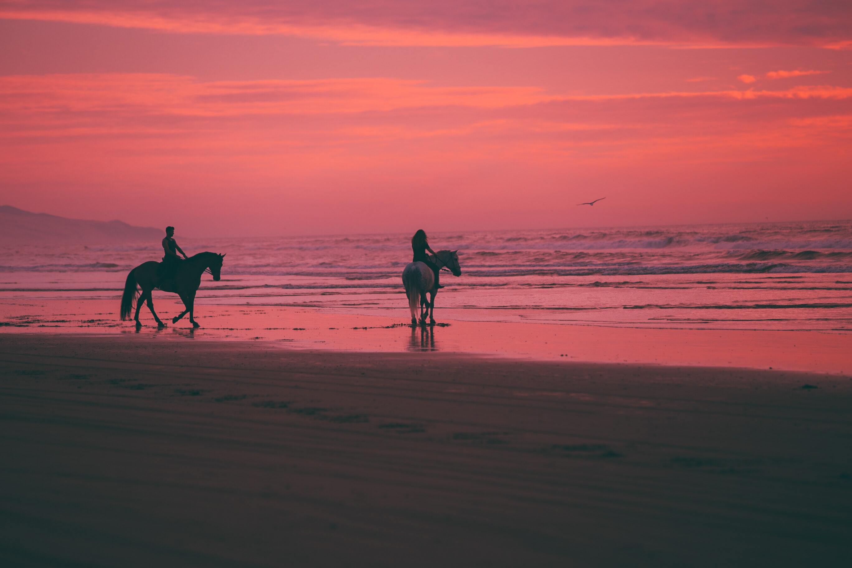Romantic Beach Horse Riding