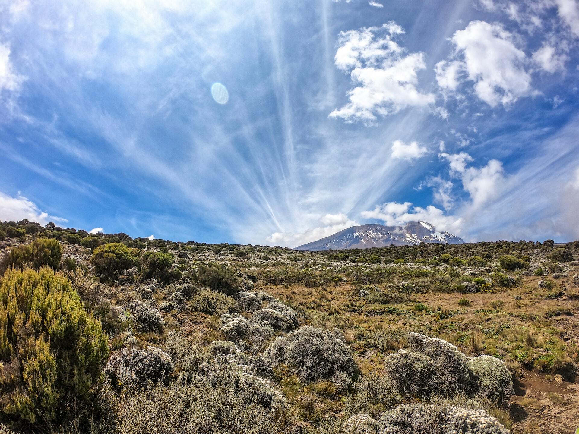 Day 4- Horombo Hut (acclimatisation)