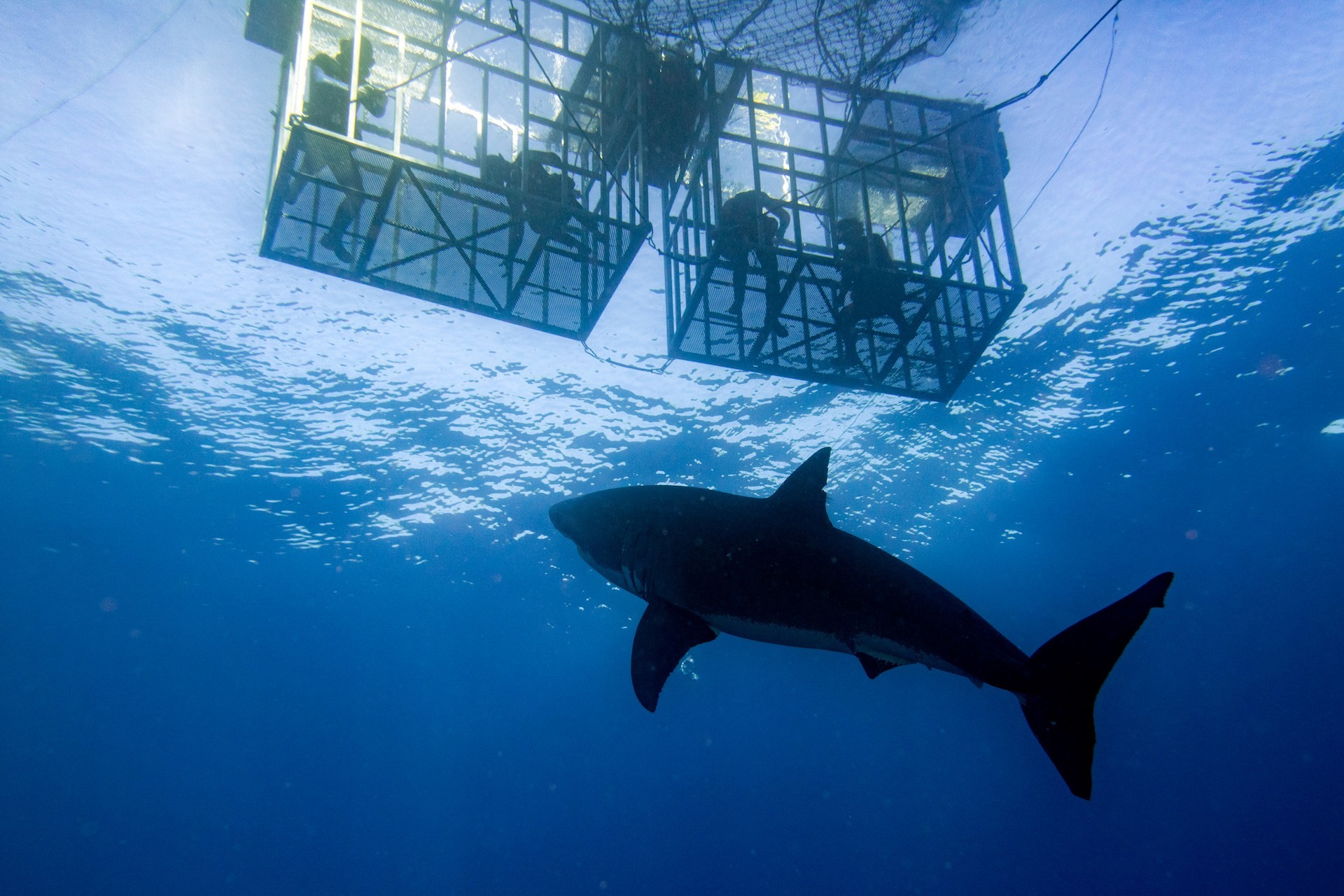 Port Lincoln, Australia