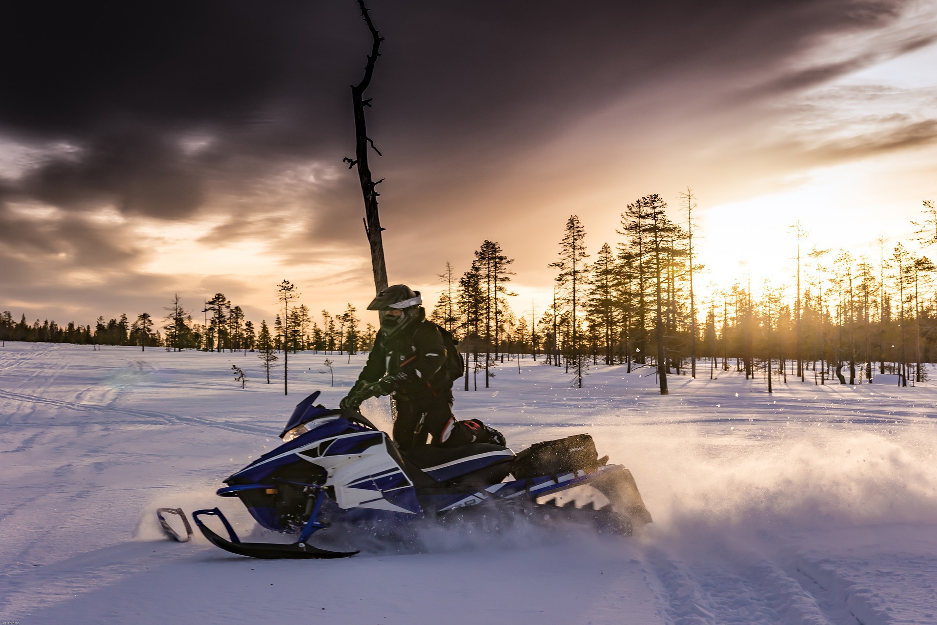 Drive a Snowmobile