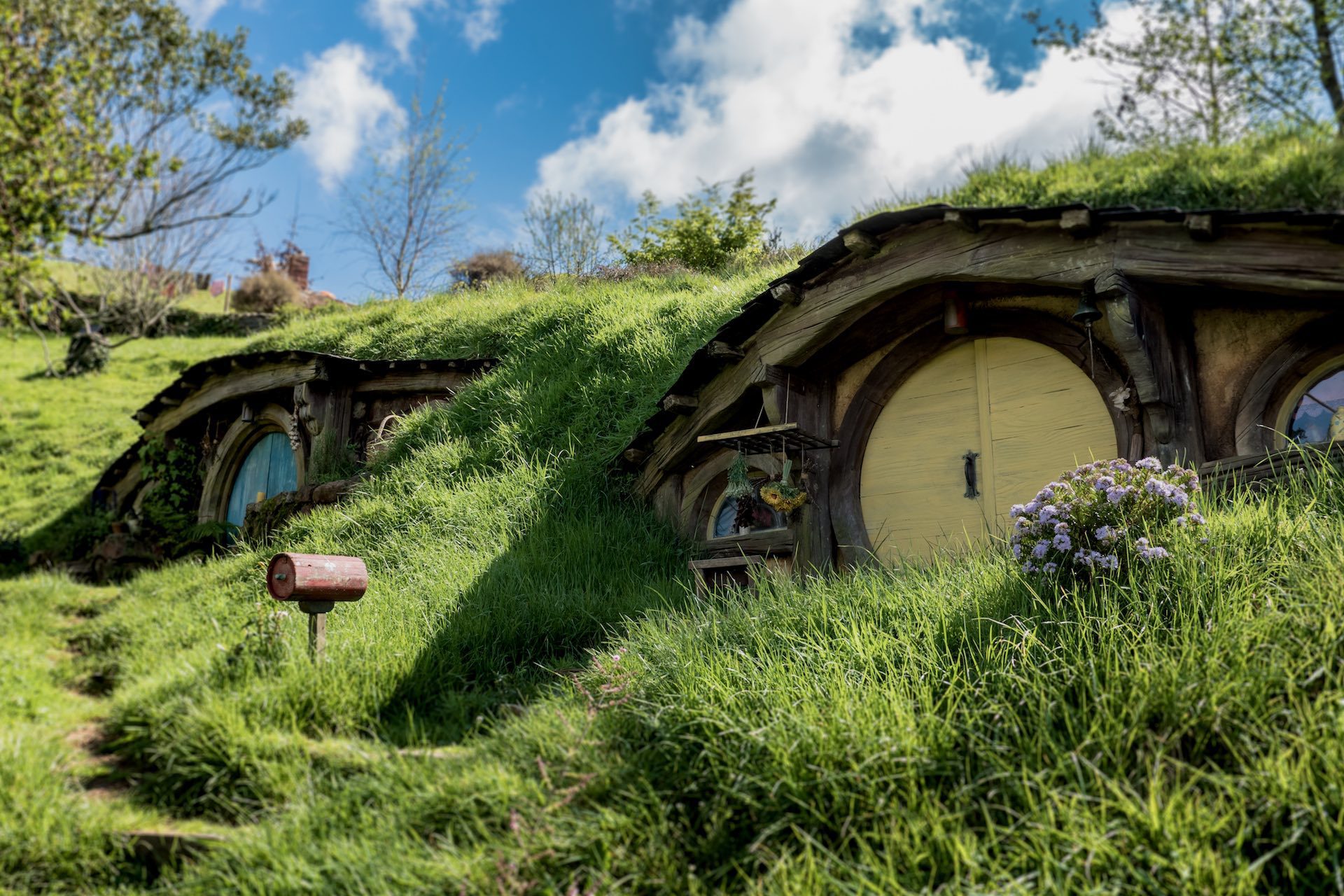 Go on Lord of the Rings Tour